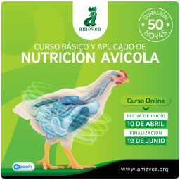 01-CURSO-DE-NUTRICION--INSTAGRAM-01