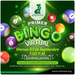 BINGO-AMEVEA