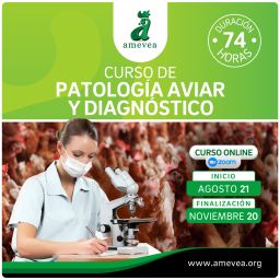 curso_de_patologia_aviar_insta_01