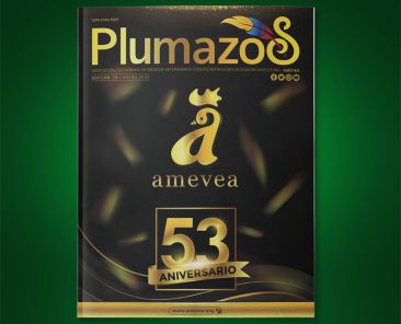 Plu_074