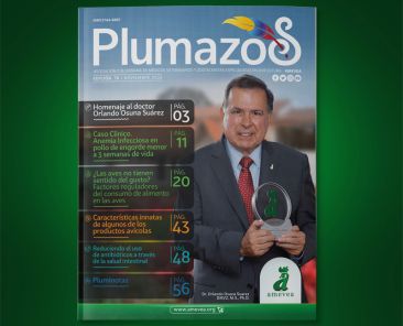 Plu_076