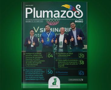 Plu_077