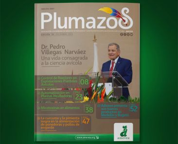 Plu_078