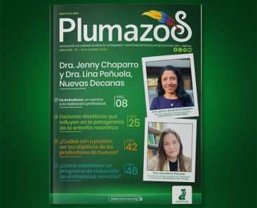Plu_079