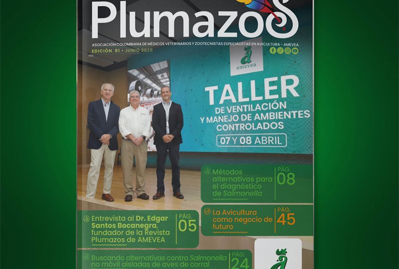 plumazos_ed_81