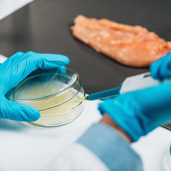 residuos-de-antibioti