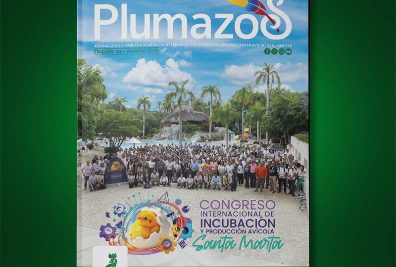Plumazos_082