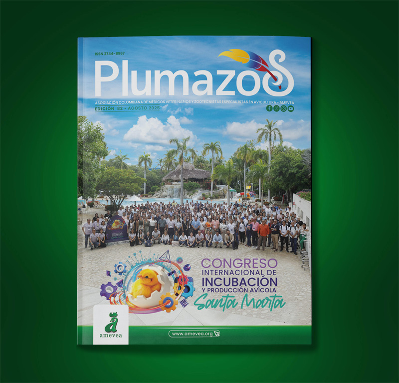 Plumazos_082