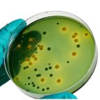 Depositphotos_184476590_XL