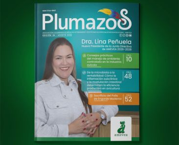 Plumazos_084_1
