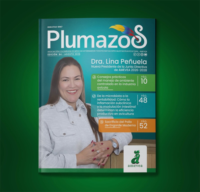 Plumazos_084_1